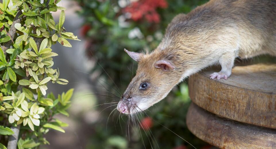    Cover Images/Keystone Press Agency / www.globallookpress.com