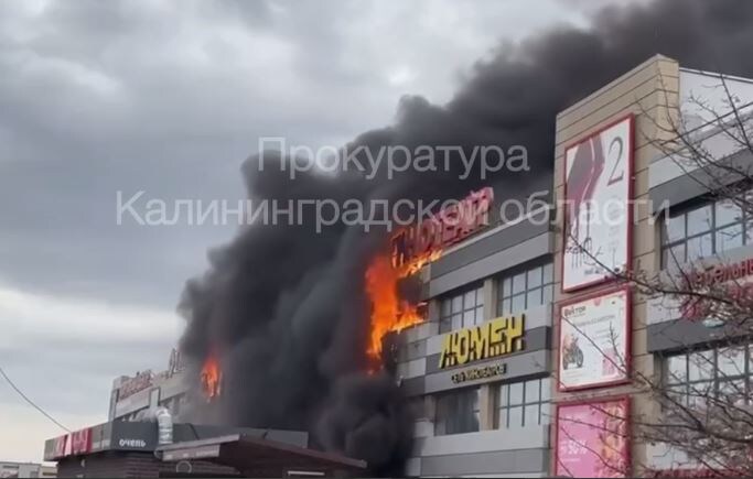    Прокуратура Калининградской области