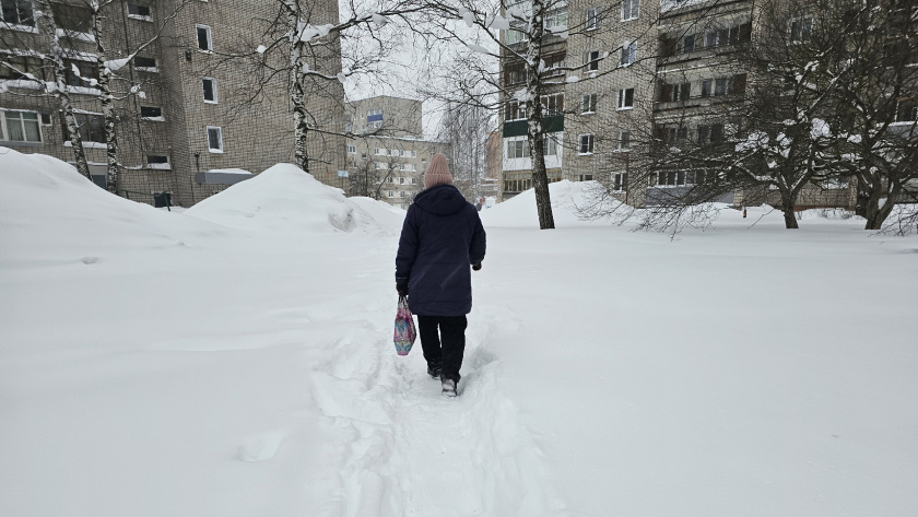    Фото prochepetsk.ru