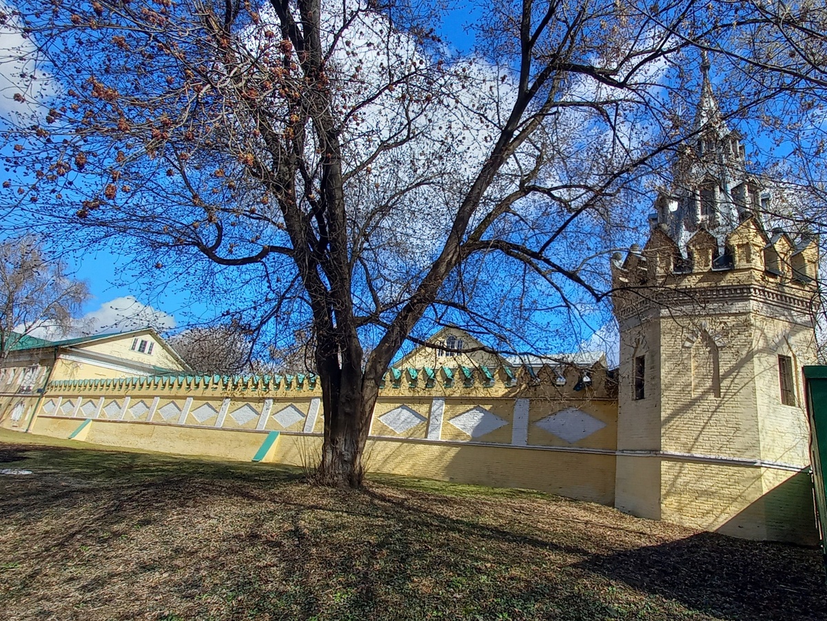 сохранившаяся стена и башня "женского двора"