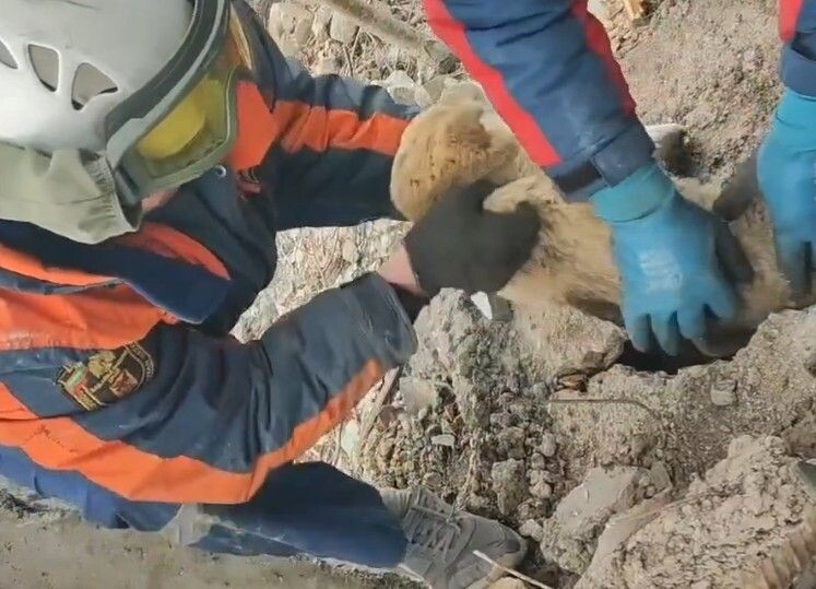    Фото: Забайкалпожспас