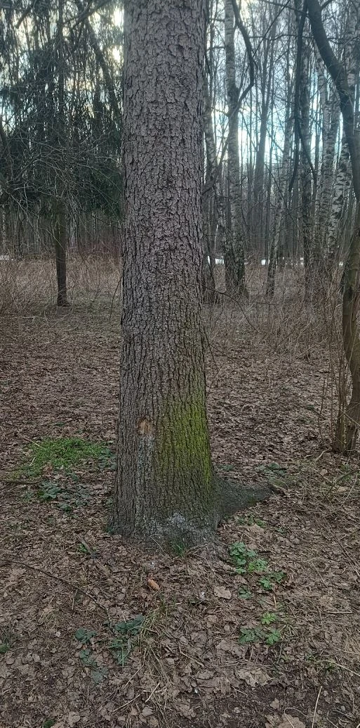 Мое рабочее место. Фото автора