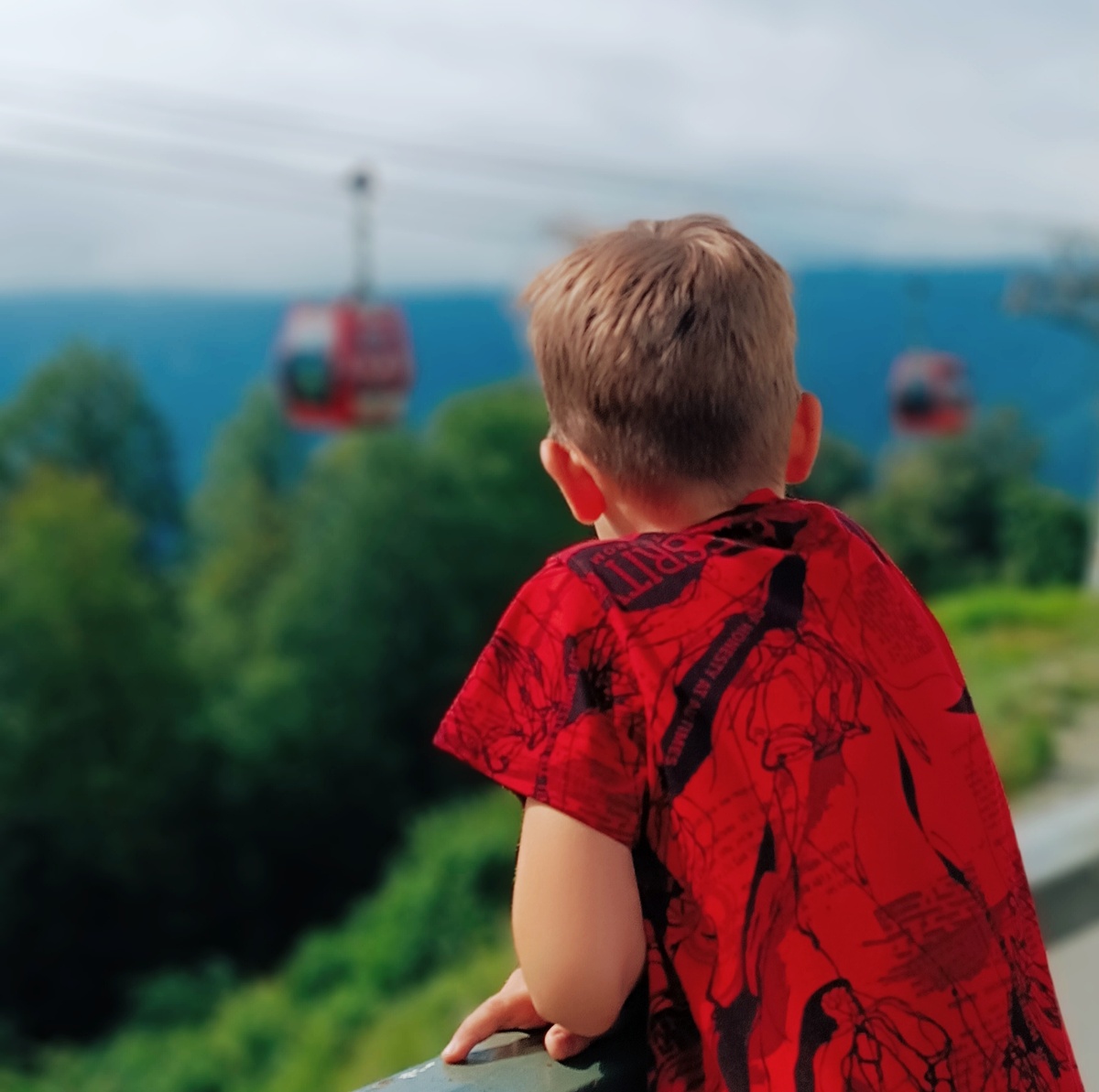 Фото принадлежит автору 