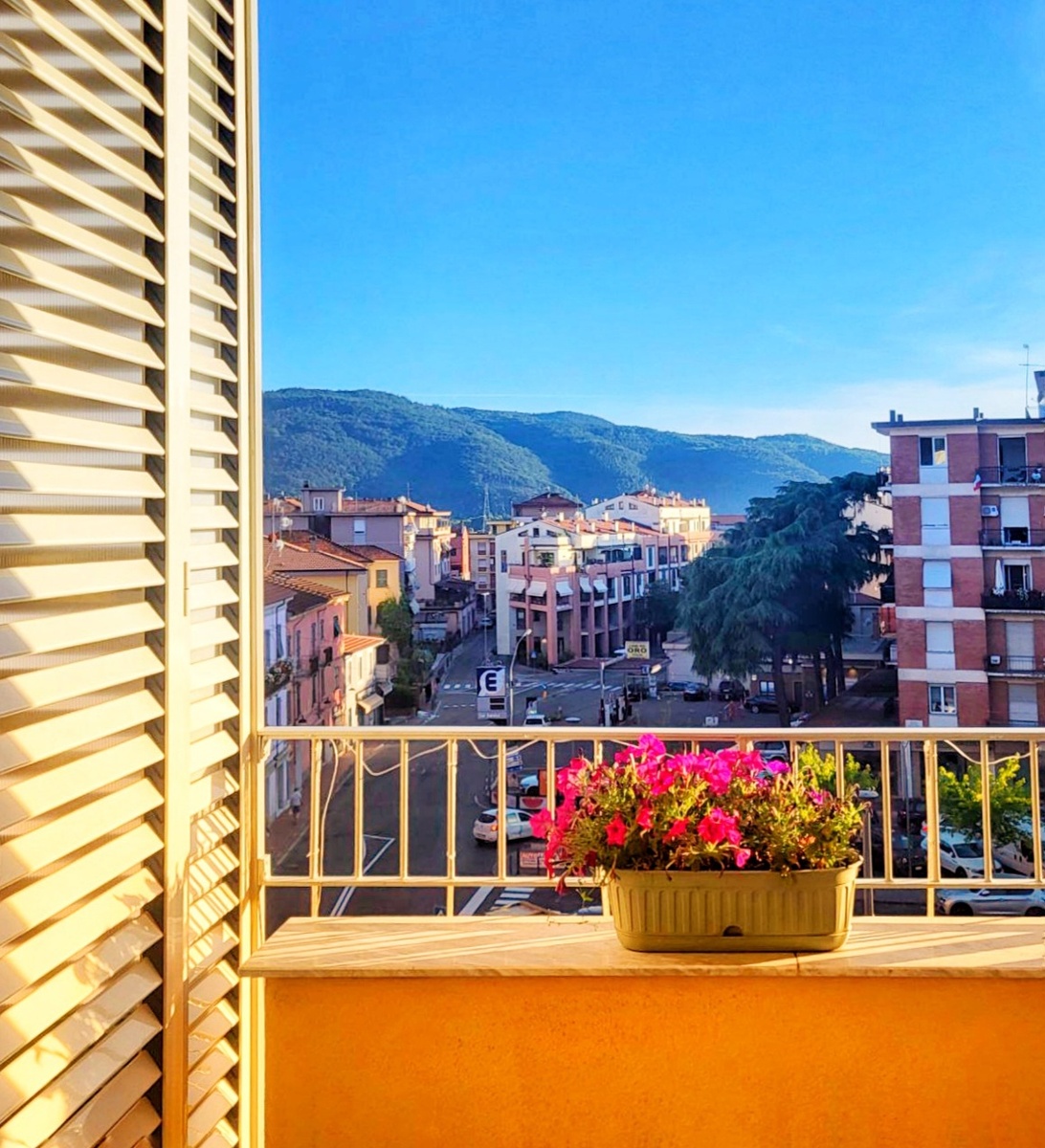 Сарцана, вид с балкона 