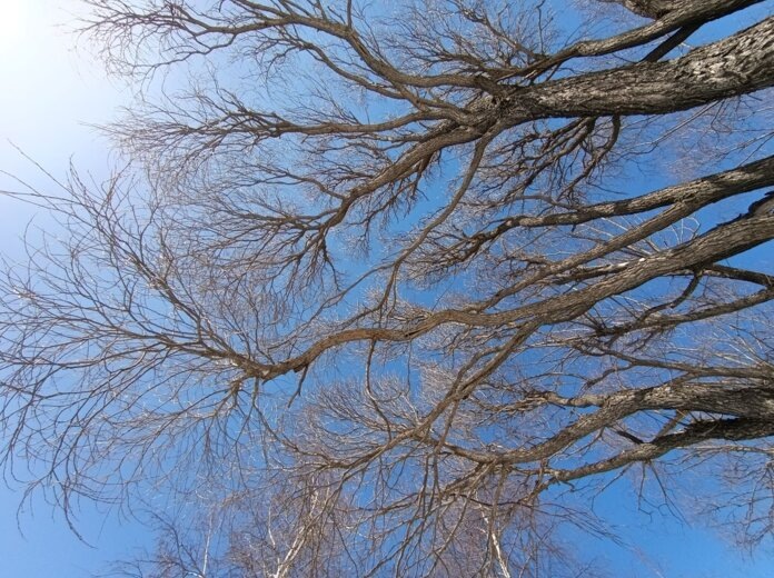    Фото: v-kurse.ru