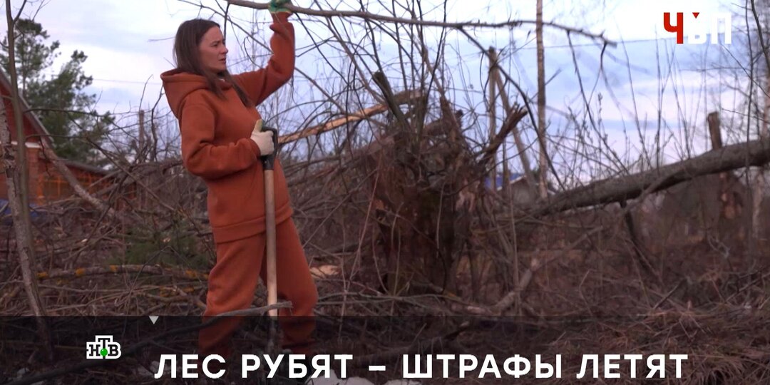 Чиновники не позволили жительнице Подмосковья очистить стихийно заросший участок