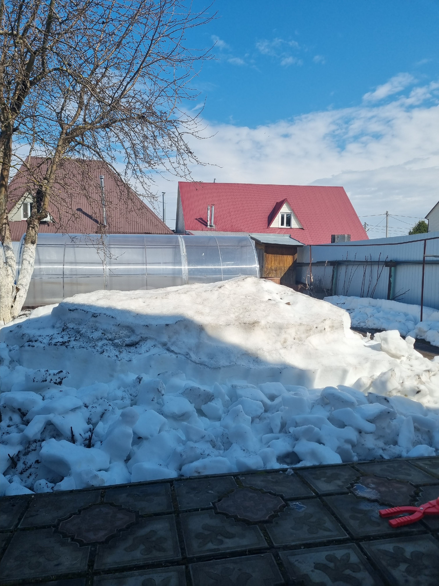 Мы поехали к свекрови 