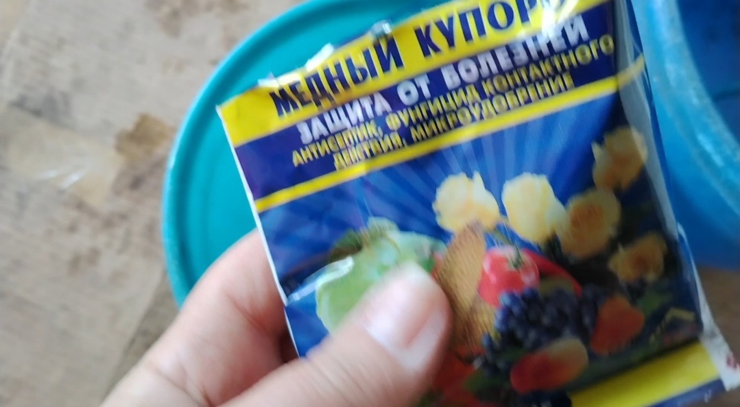 Начинаю готовить раствор для обработки сада. Фото автора.