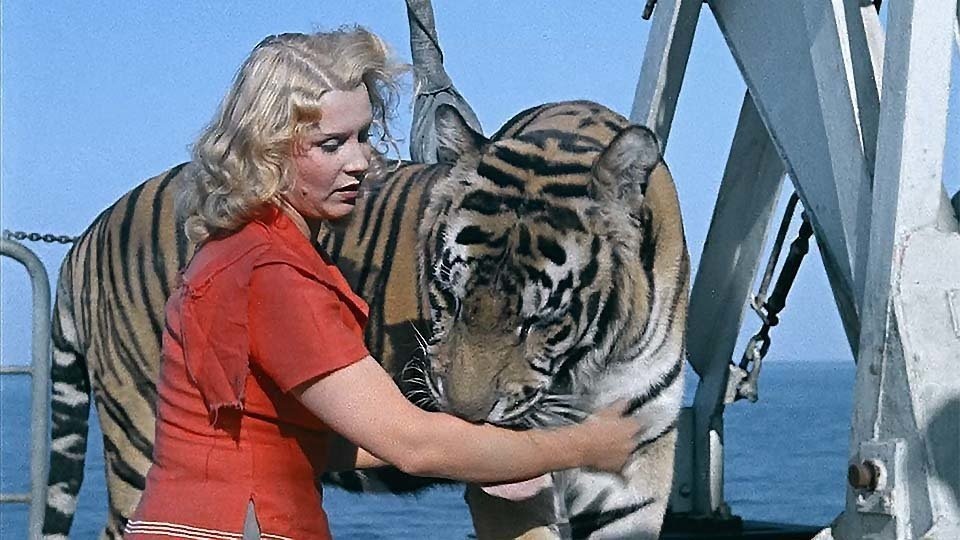 «Тайная цена смелости: что осталось за кадром "Полосатого рейса"».