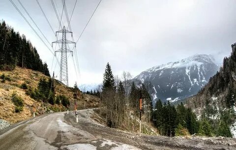    Фото: открытый источник