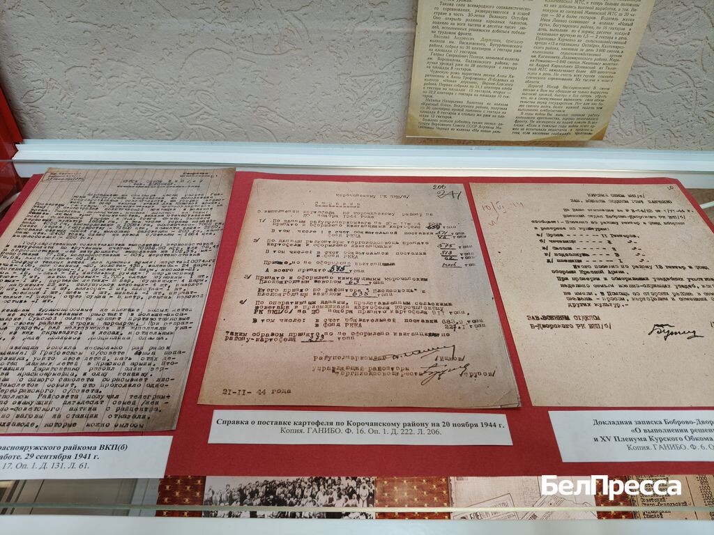    Справки о поставке сельхозпродуктов на фронт / Фото: Елена Ховхун