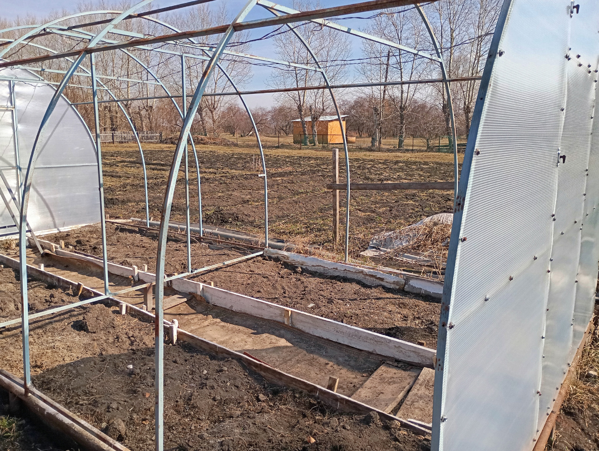 Фото автора.