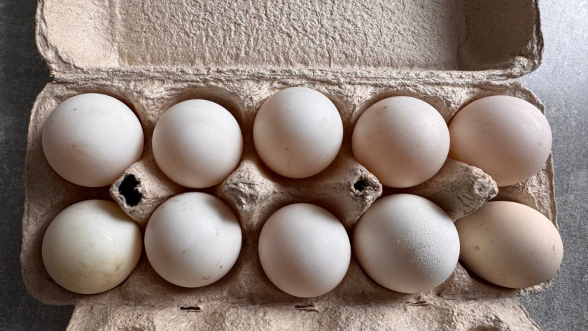    Первый городской канал Калининград