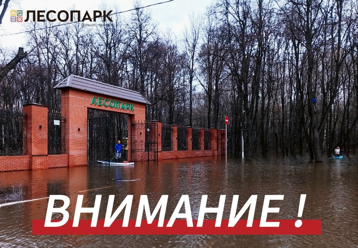    Фото: https://vk.com/lesopark62