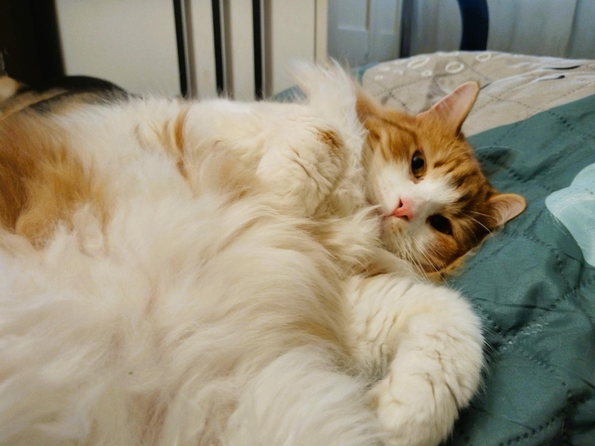 Ну как бы и не поспорить