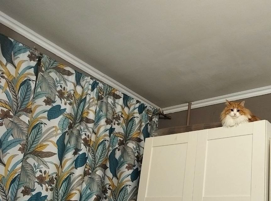 Кажется я скоро отсюда шлепнусь