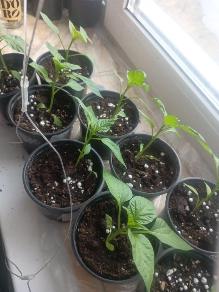 Из личного архива