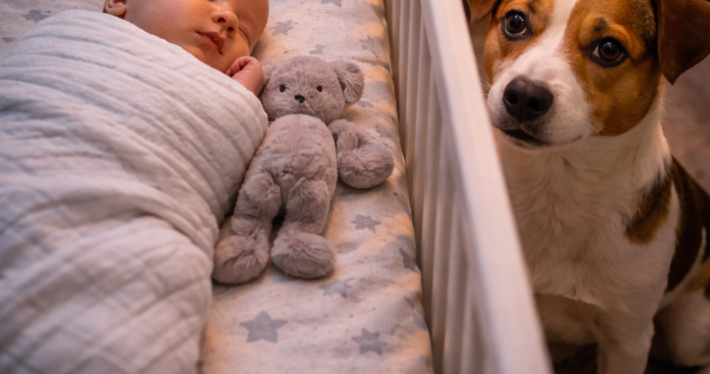 Собака, которая не отходила от ребёнка - врачи позже объяснили почему