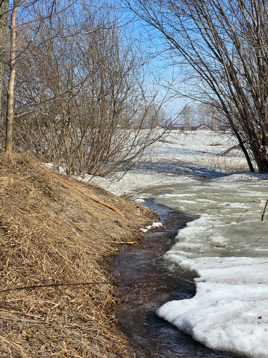 Текущее положение дел