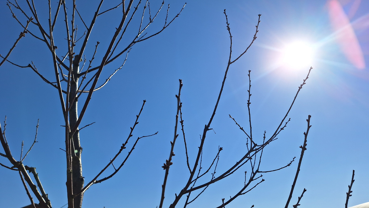 Фото автора. Солнечный апрельский день