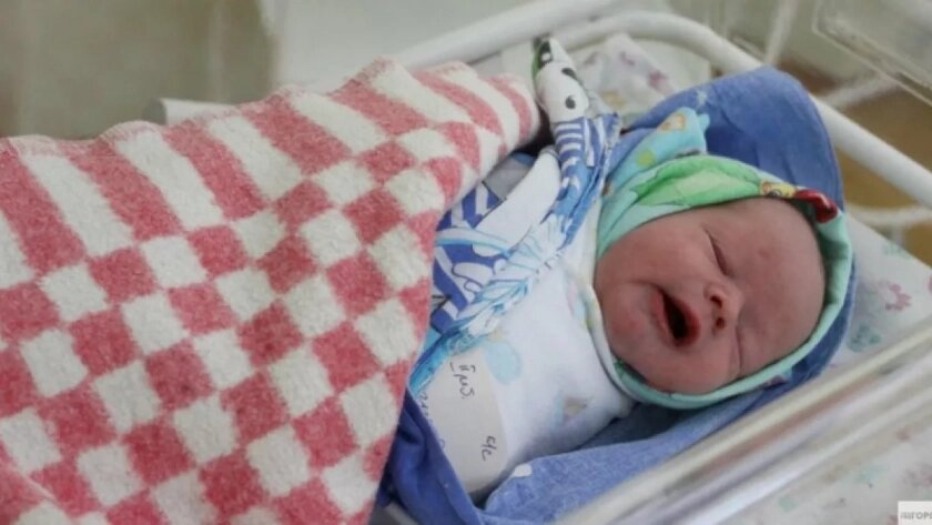    Фото prochepetsk.ru