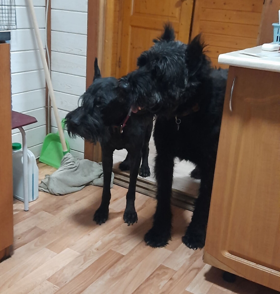 Герман (справа) и Стейси - бывшая подопечаня Фонда (слева). А чего тут скусного дают?