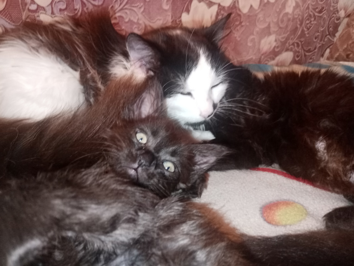 кучка мала, но магонька))