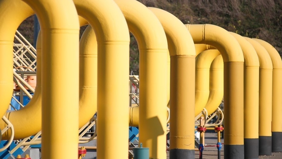    Автор фото: Дмитрий Феоктистов/ТАСС