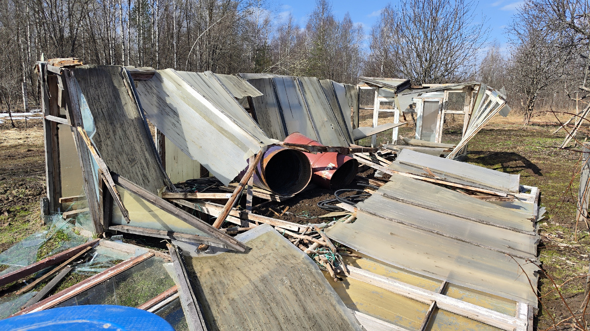 То, что осталось от парника