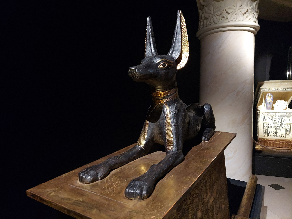 Точечный свет спасает ситуацию. В глубоких тенях Анубис выглядит эффектно, но стоит присмотреться к деталям — и магия исчезает