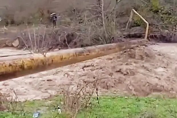    Источник: lenta.ru/ Вероника Ситникова