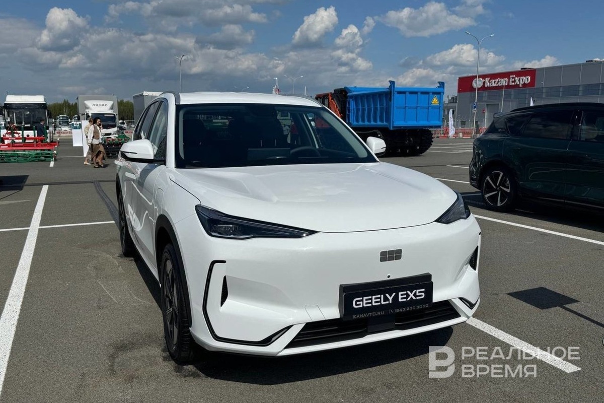   Дарья Пинегина / realnoevremya.ru