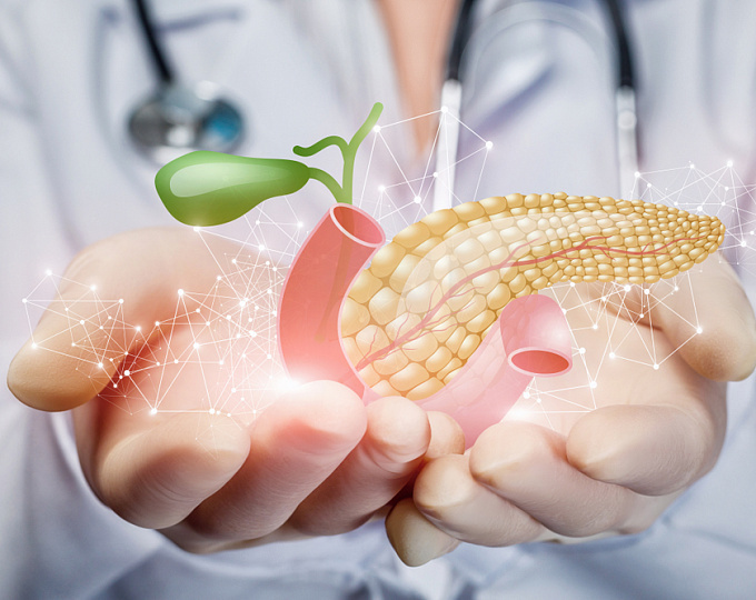 Поджелудочная железа