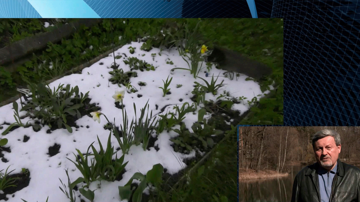    Первый канал