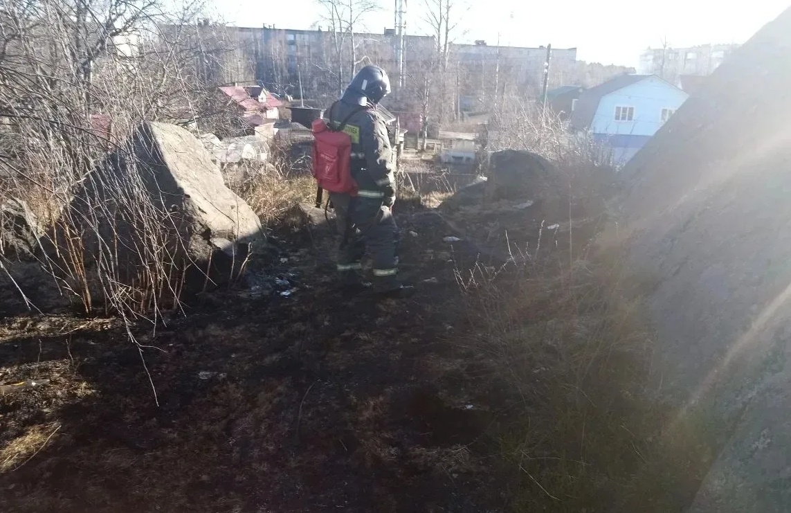    Фото: официальный канал Государственного комитета Республики Карелия по обеспечению жизнедеятельности и безопасности населения