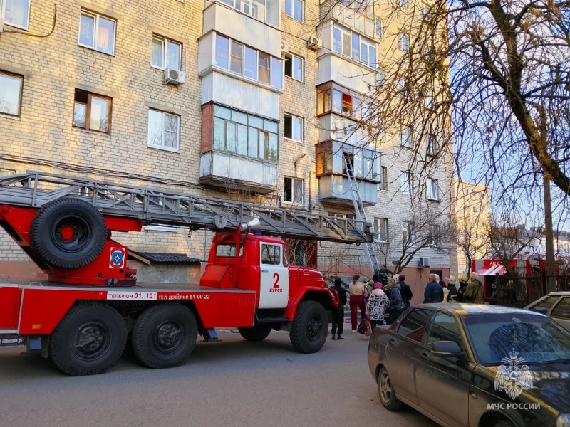     ГУ МЧС России по Курской области