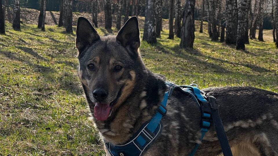 Вчерашний день прошёл в напряжении, но мы справились