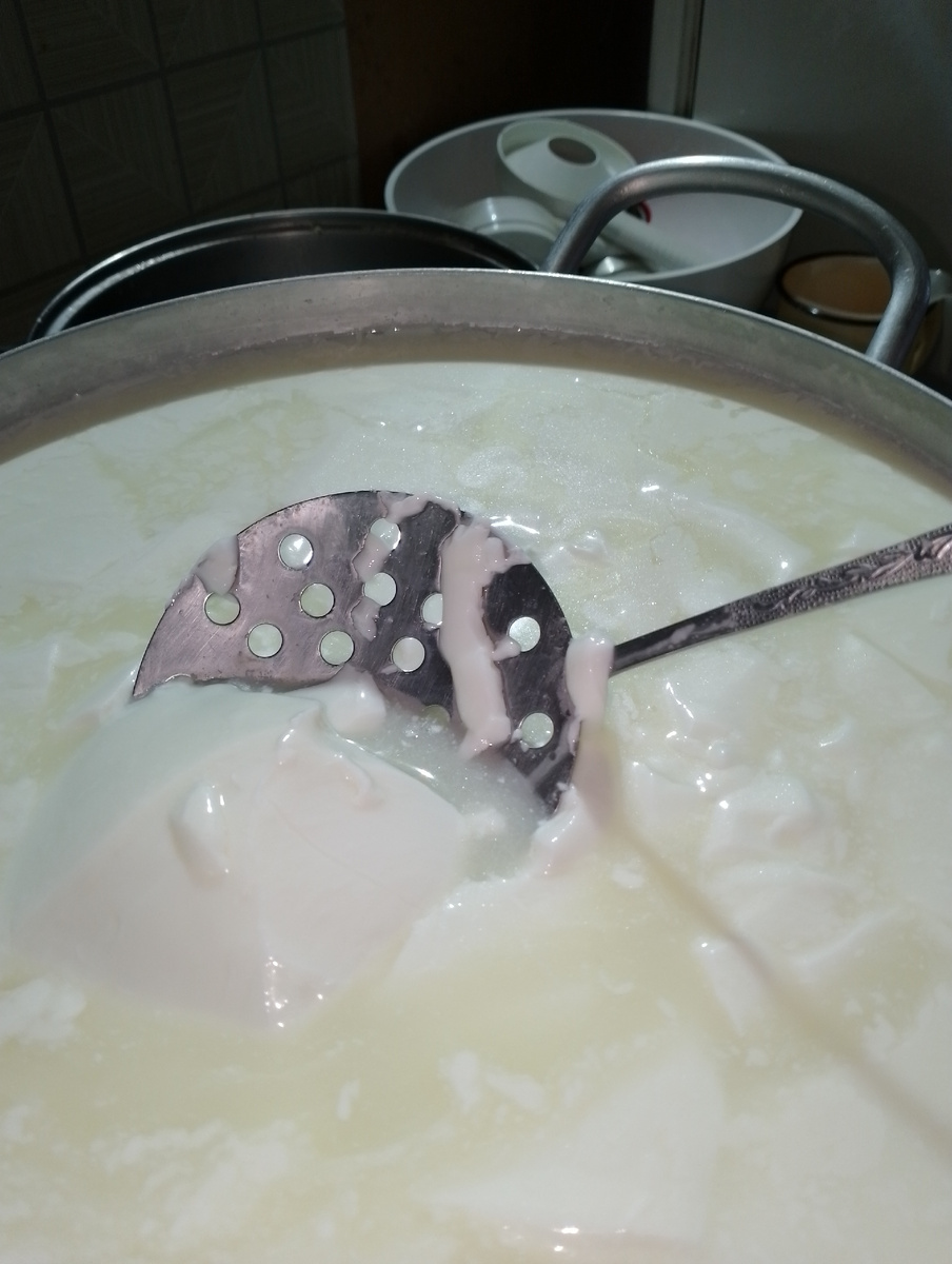 Сгусток , где видно, как отходит сыворотка.