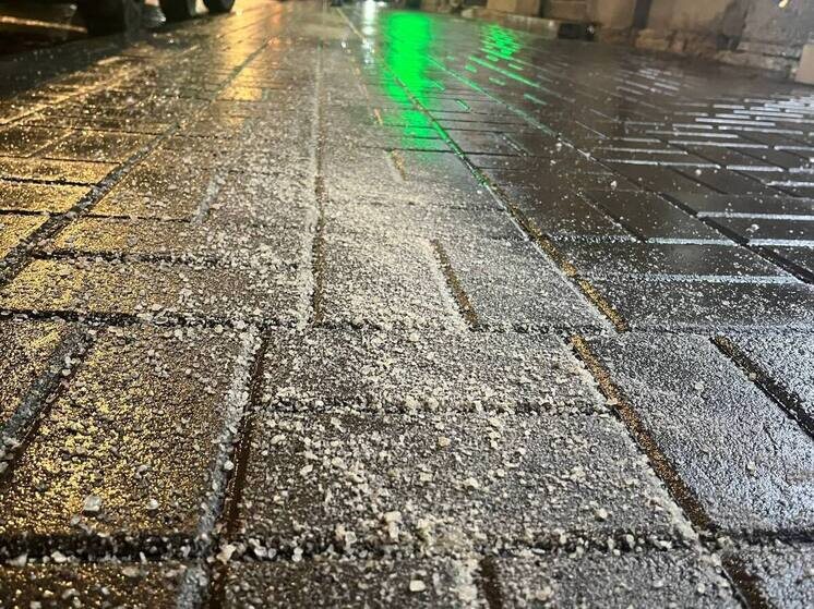     Фото: архив МК в Питере