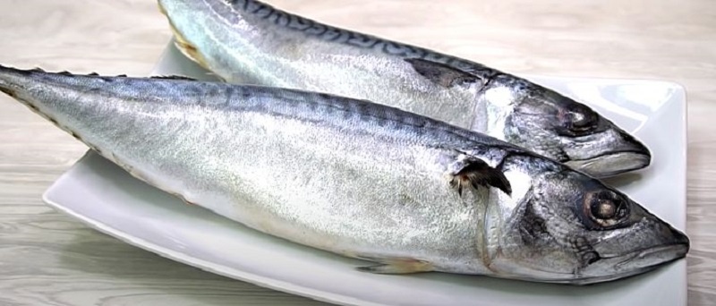 Солёная скумбрия по особому рецепту Крайнего Севера: настоящая рыбная закуска