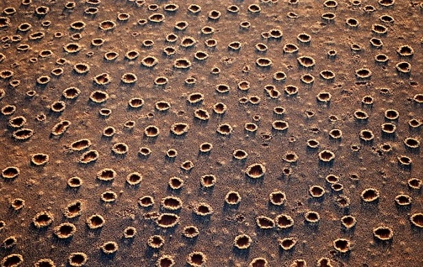 Ведьмины круги пустыни Намиб