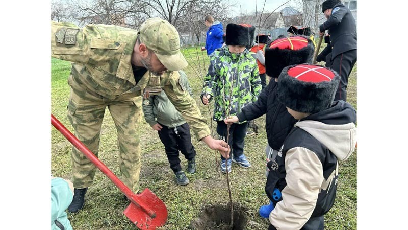    Память в каждом саженце