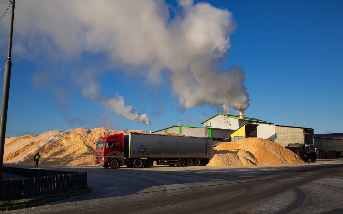    фото: Столица на Онего