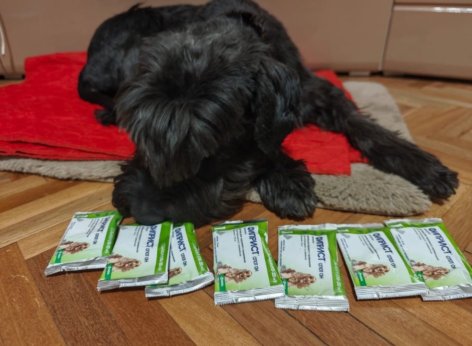 От клещей - это всё мне!