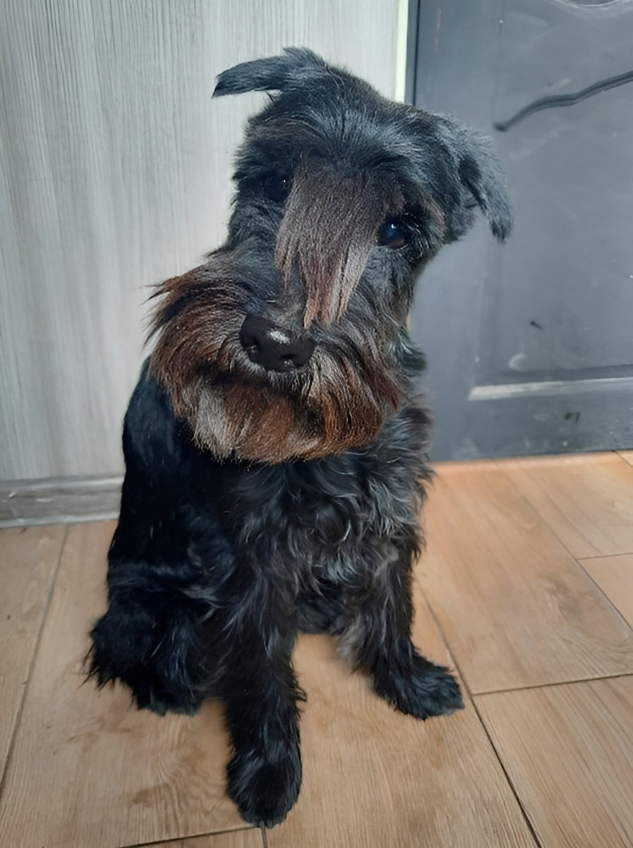 у Лори всё отлично