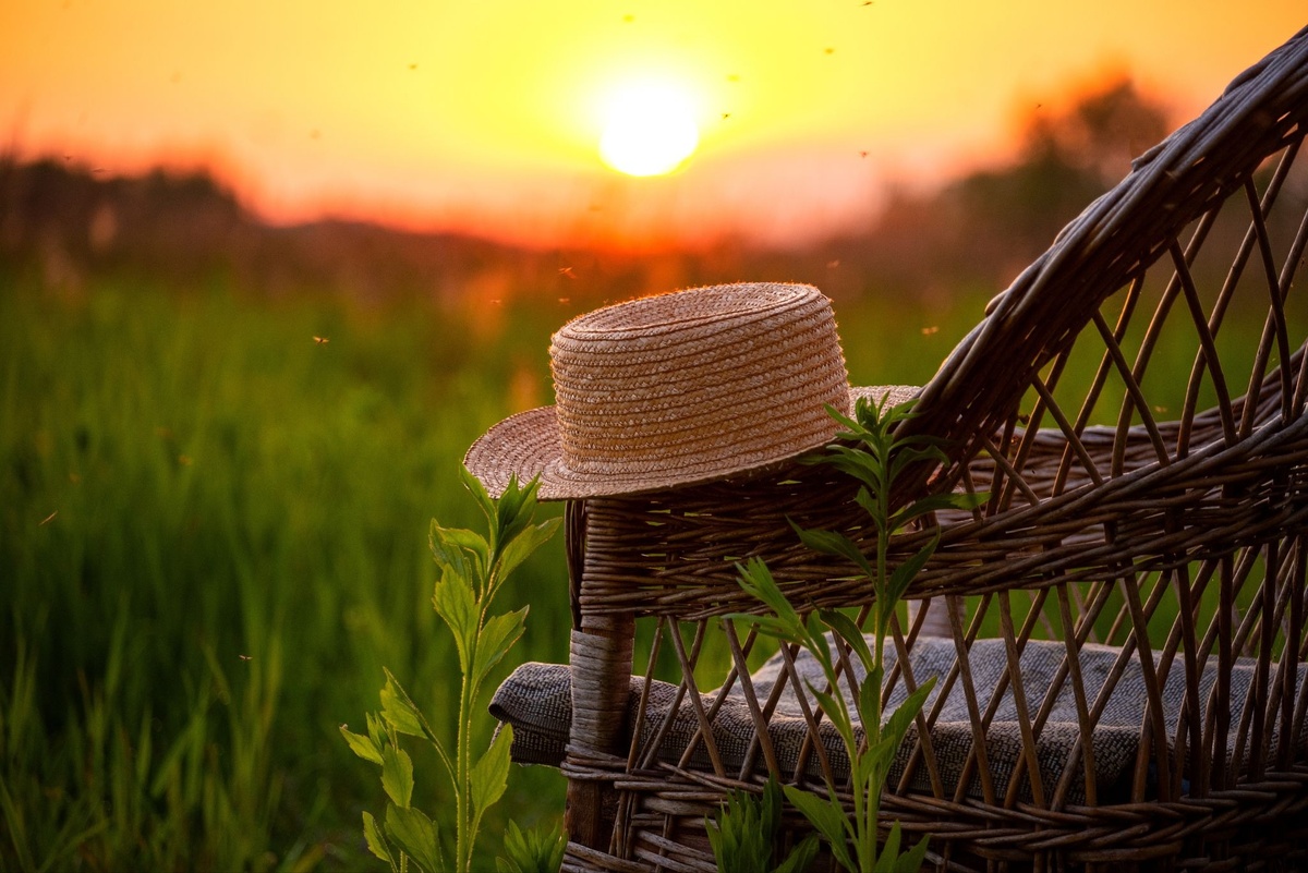 Источник: Ann Stryzhekin / Shutterstock / FOTODOM