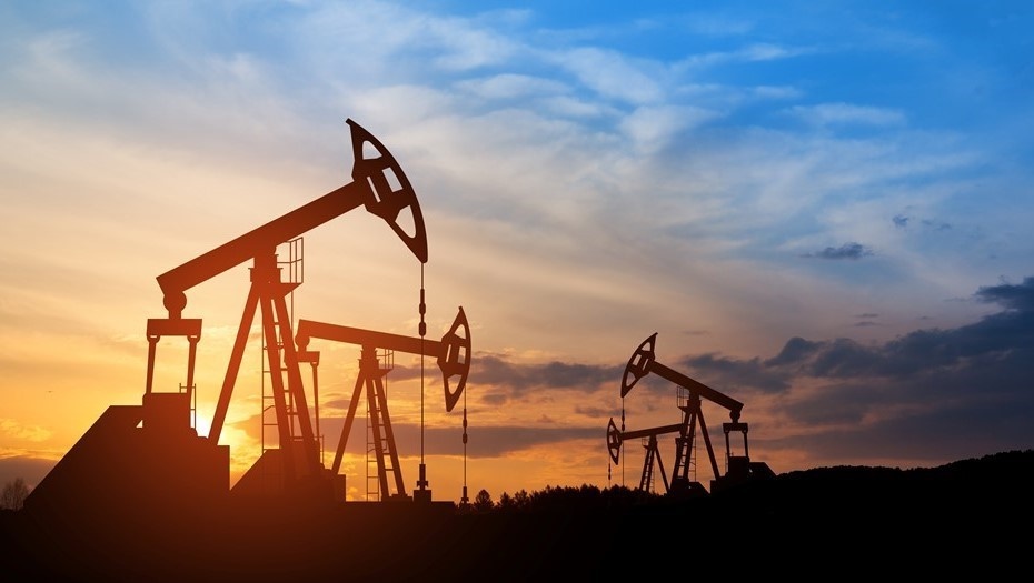 Фото: Hamara/Shutterstock/FOTODOM