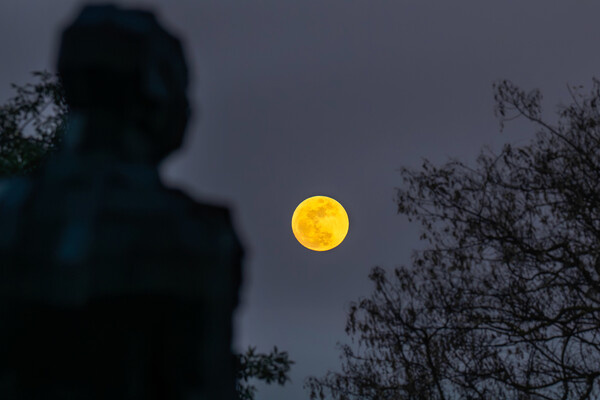 Jorge Castellanos/Keystone Press Agency/Global Look Press   📷