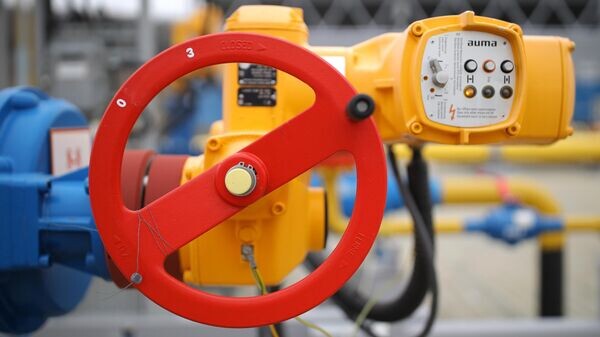    © Sputnik / Виталий Тимкив