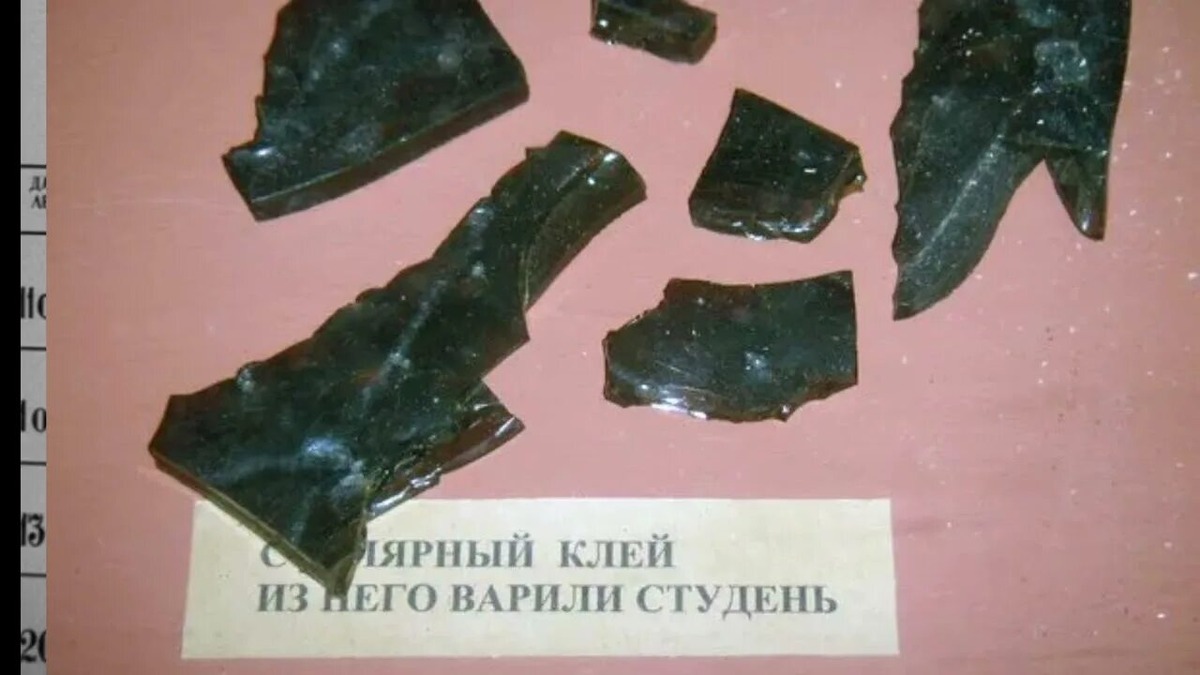 Столярный клей